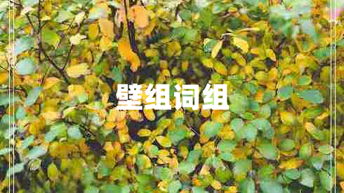 壁組詞組