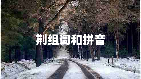 荊組詞和拼音