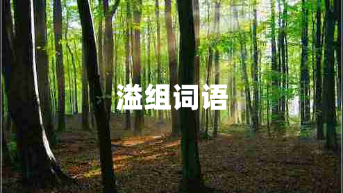 溢組詞語(yǔ)