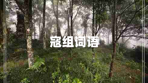 寇組詞語(yǔ)