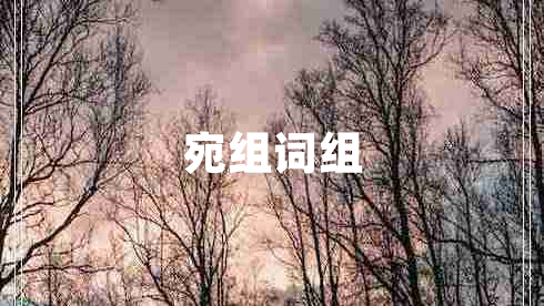 宛組詞組
