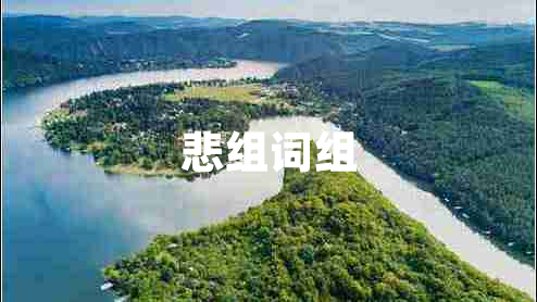 悲組詞組