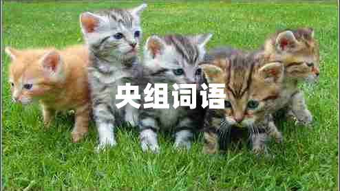 央組詞語(yǔ)