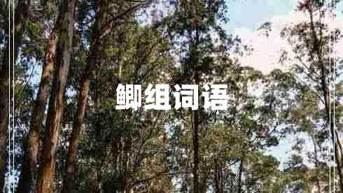 鯽組詞語(yǔ)