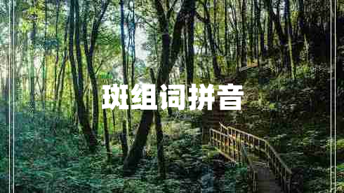 斑組詞拼音