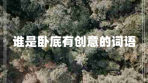 誰(shuí)是臥底有創(chuàng  )意的詞語(yǔ)