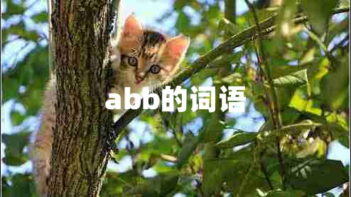 abb的詞語(yǔ)