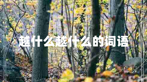越什么越什么的詞語(yǔ)
