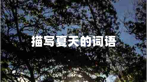 描寫(xiě)夏天的詞語(yǔ)