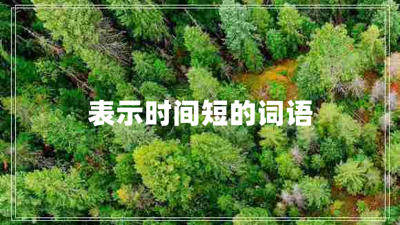 表示時(shí)間短的詞語(yǔ)