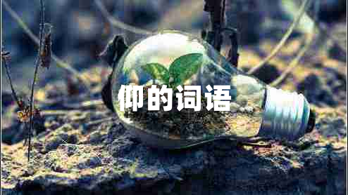 仰的詞語(yǔ)