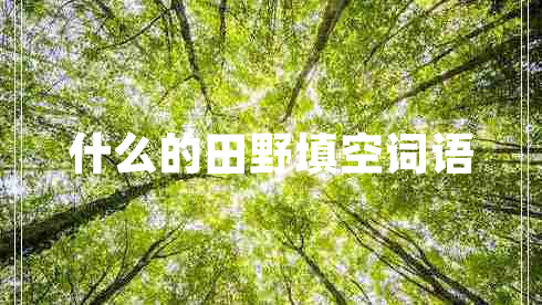 什么的田野填空詞語(yǔ)