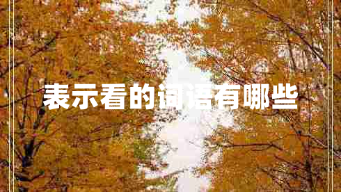 表示看的詞語(yǔ)有哪些
