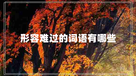 形容難過(guò)的詞語(yǔ)有哪些