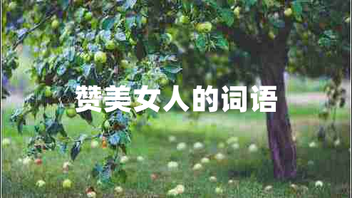 贊美女人的詞語(yǔ)