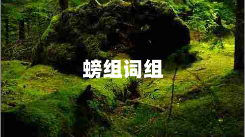 螃組詞組