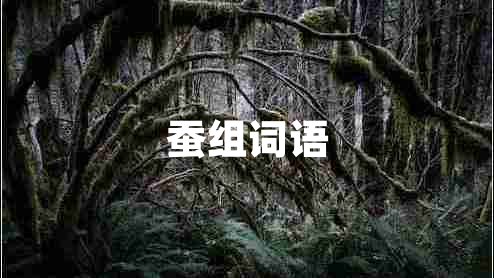 蠶組詞語(yǔ)