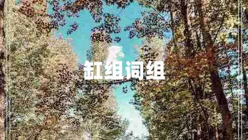缸組詞組