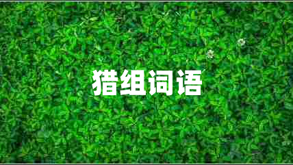 獵組詞語(yǔ)