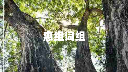 惠組詞組