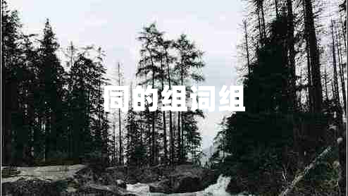 同的組詞組