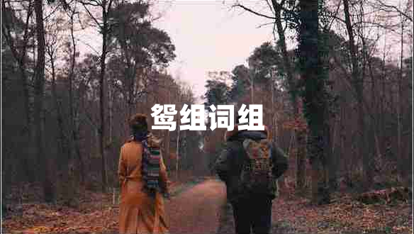 鴛組詞組