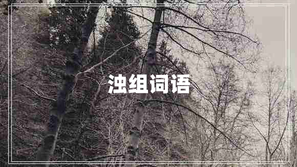濁組詞語(yǔ)