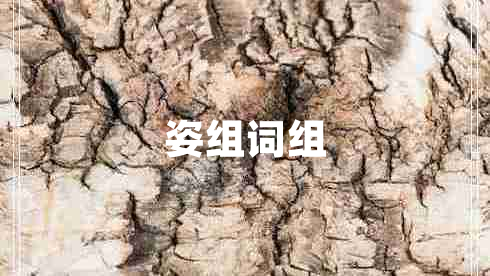 姿組詞組