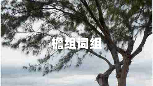 檐組詞組