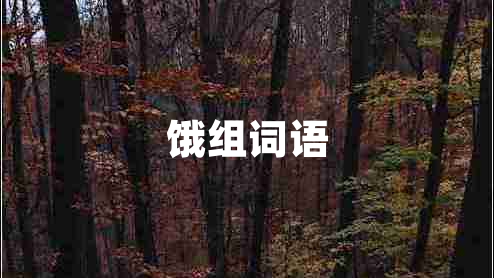 餓組詞語(yǔ)