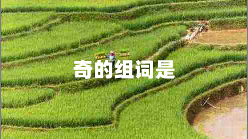 奇的組詞是