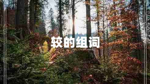 較的組詞