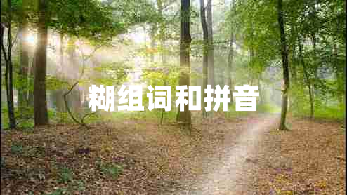 糊組詞和拼音