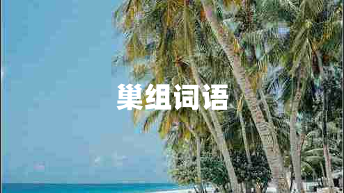 巢組詞語(yǔ)