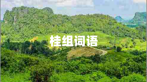 桂組詞語(yǔ)
