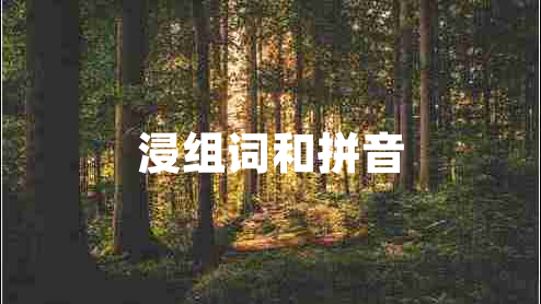 浸組詞和拼音