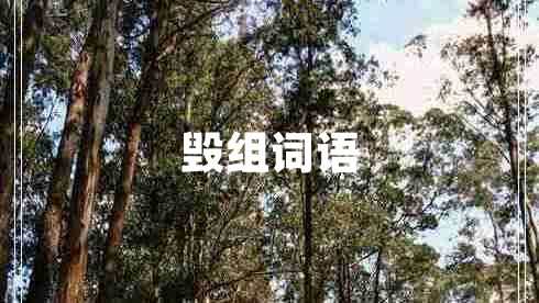 毀組詞語(yǔ)