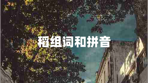 稻組詞和拼音