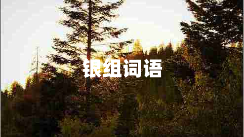 銀組詞語(yǔ)