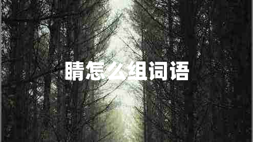 睛怎么組詞語(yǔ)