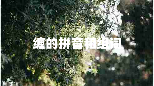 纏的拼音和組詞