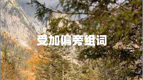 受加偏旁組詞