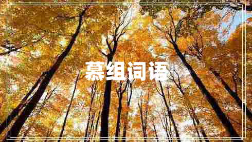 慕組詞語(yǔ)