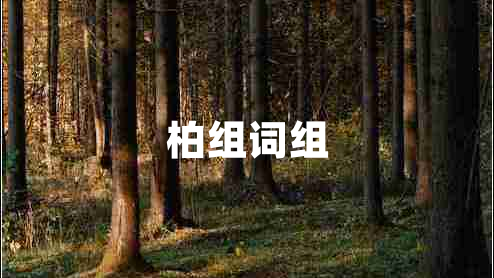 柏組詞組