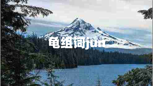 龜組詞jun