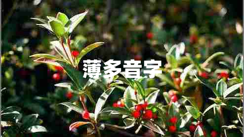 薄多音字