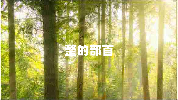 整的部首