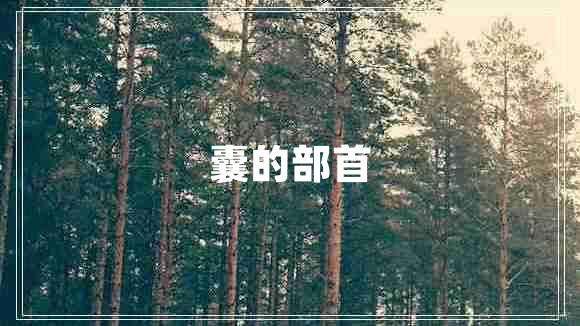 囊的部首