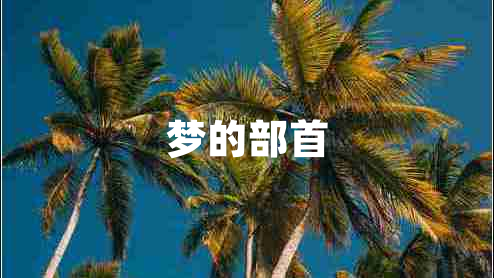 夢(mèng)的部首