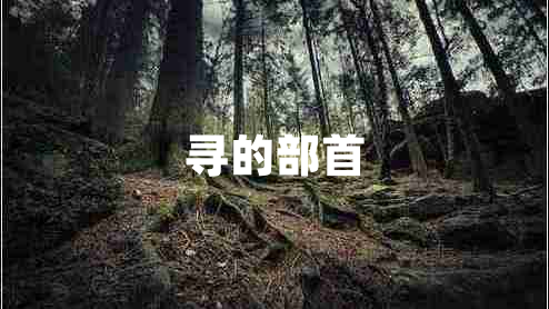 尋的部首